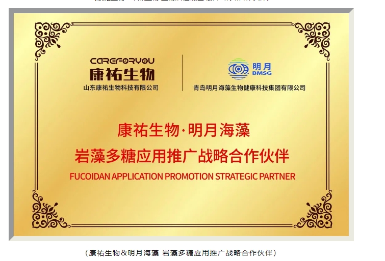 20240416094221793-微信截图_20240416094012