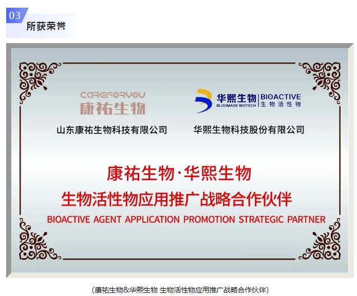 20240416094226157-微信截图_20240416094003