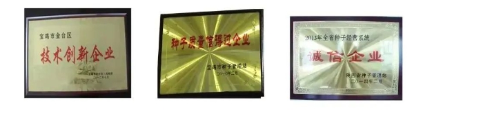 20240428093309497-微信截图_20240428093226