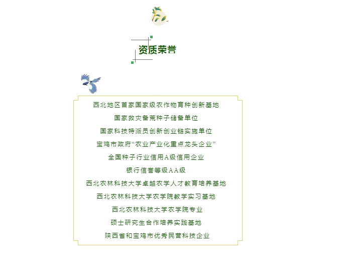 20240428093323691-微信截图_20240428093205