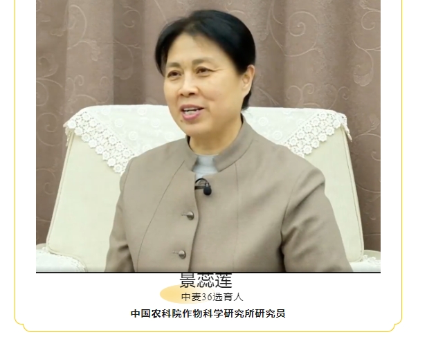 20240428093333252-微信截图_20240428092940