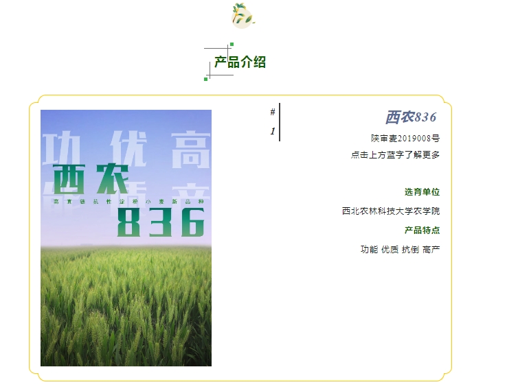 20240428093334449-微信截图_20240428093057