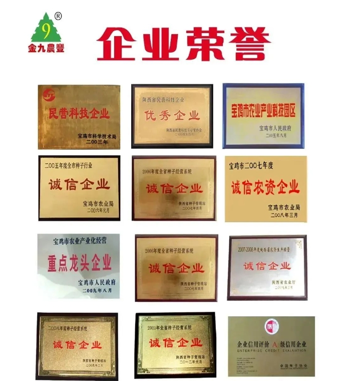 20240428093334828-微信截图_20240428093216