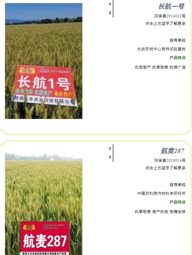 20240428093335108-微信截图_20240428093153