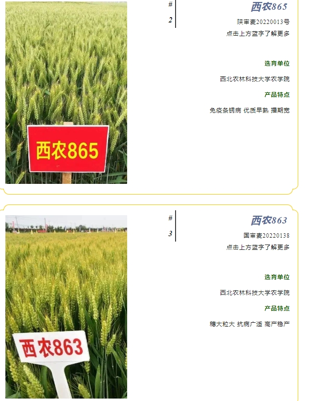 20240428093335357-微信截图_20240428093110