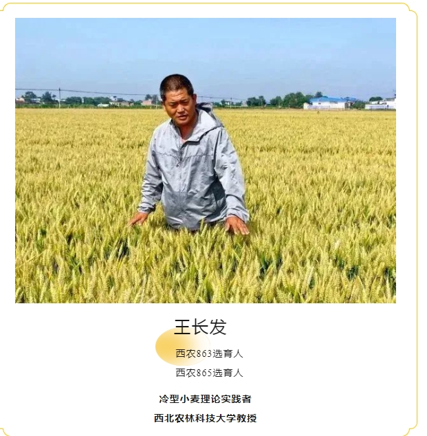 20240428093335508-微信截图_20240428092958