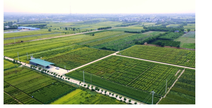 20240428093335598-微信截图_20240428093048