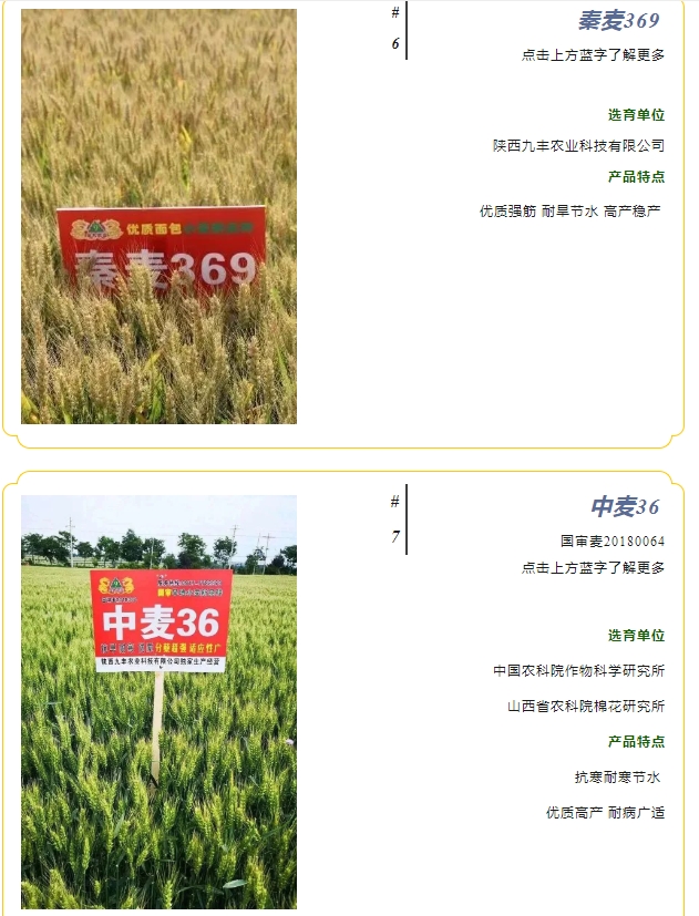 20240428093336269-微信截图_20240428093141