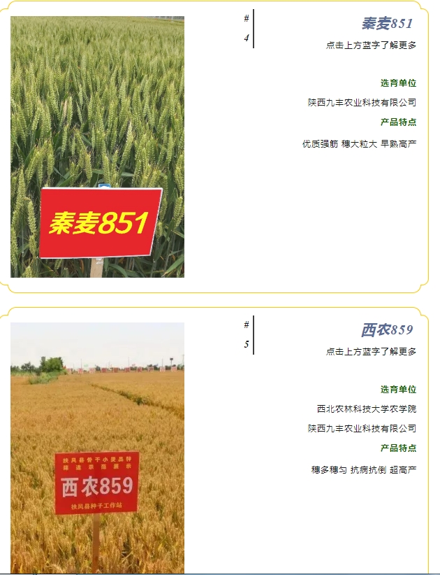 20240428093336354-微信截图_20240428093129