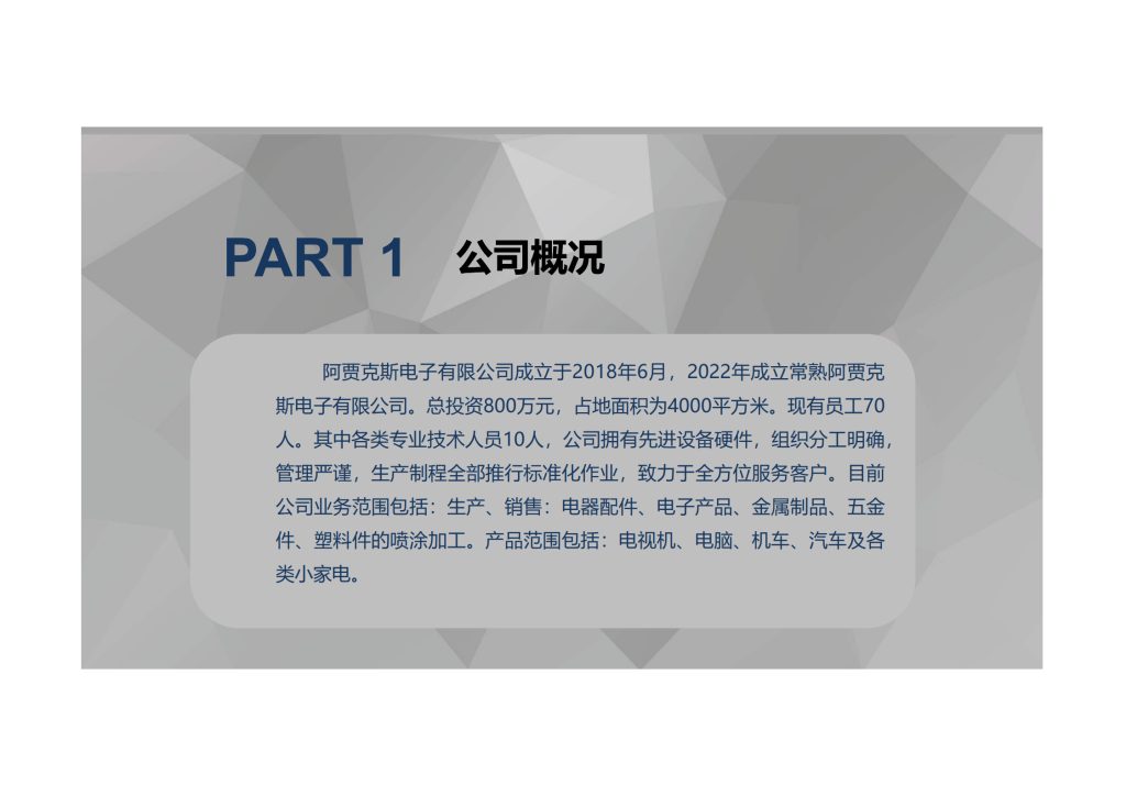 20240506171925660-阿贾克斯公司简介(1)_3