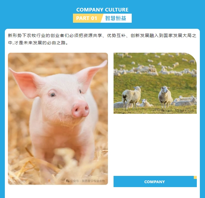 20240509101057183-微信截图_20240509100942