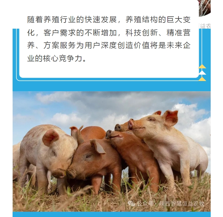 20240509101057375-微信截图_20240509100931