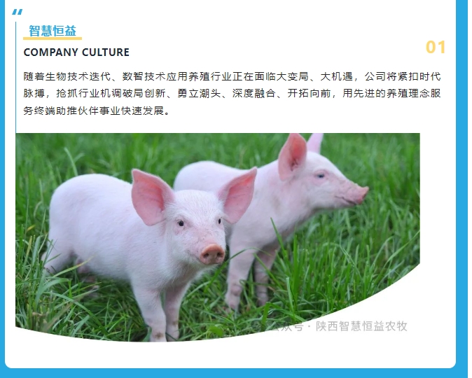 20240509101057595-微信截图_20240509101005