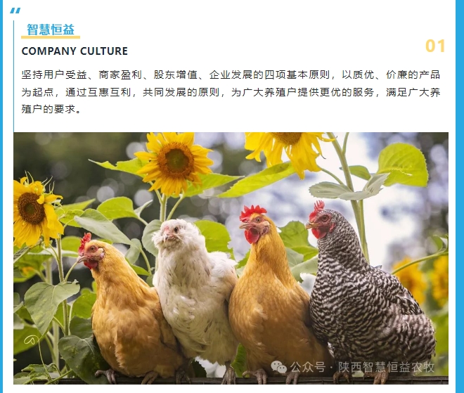 20240509101057777-微信截图_20240509100957