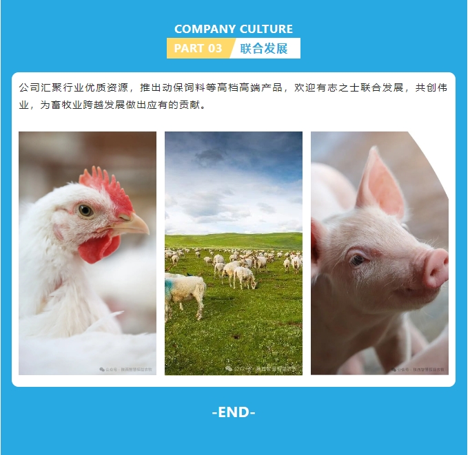 20240509101057879-微信截图_20240509101026