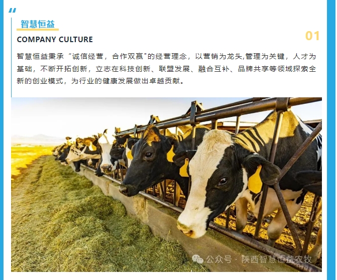 20240509101057920-微信截图_20240509100949