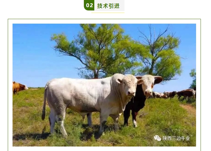 20240511135203318-微信截图_20240511135010