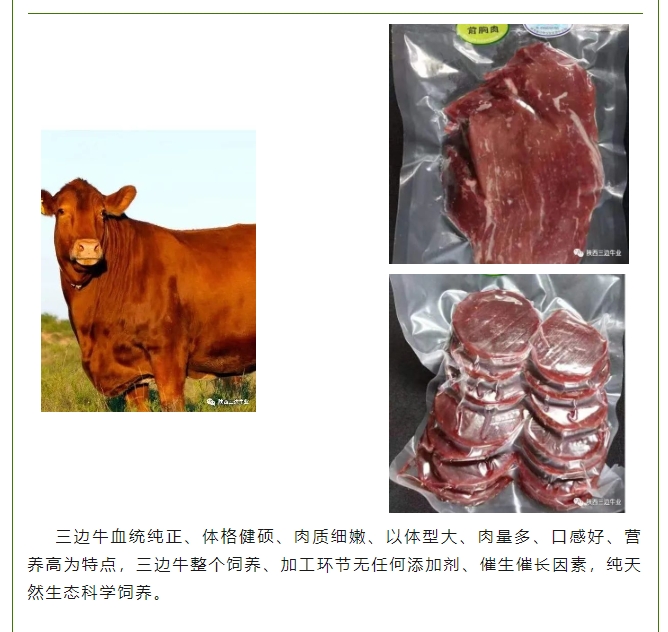 20240511135203722-微信截图_20240511135033