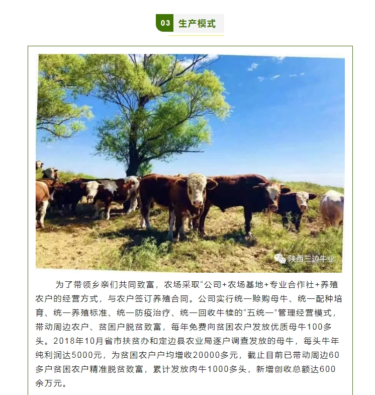 20240511135204254-微信截图_20240511135050