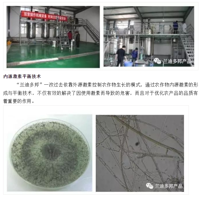 20240513135739529-微信截图_20240513135619