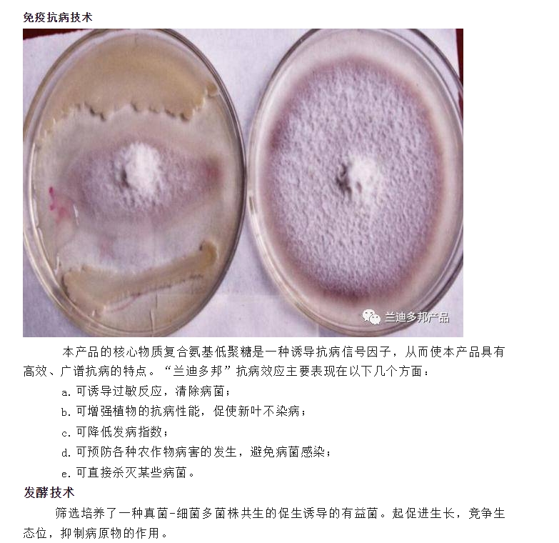 20240513135739896-微信截图_20240513135608