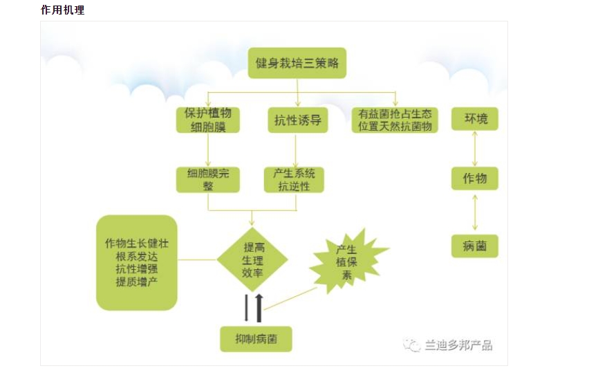 20240513135739942-微信截图_20240513135652