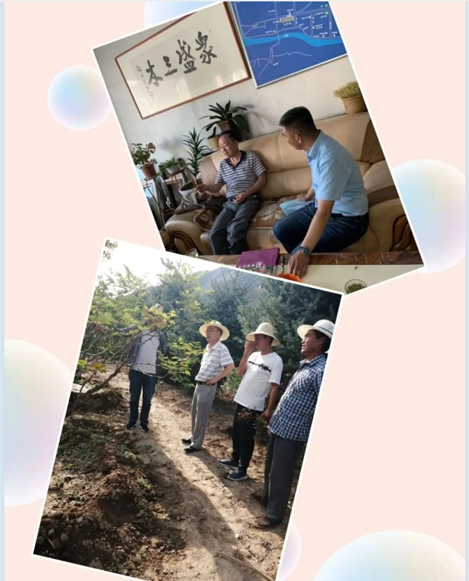 20240530100008816-微信截图_20240530095708