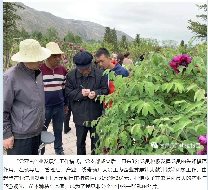 20240530100015971-微信截图_20240530095740