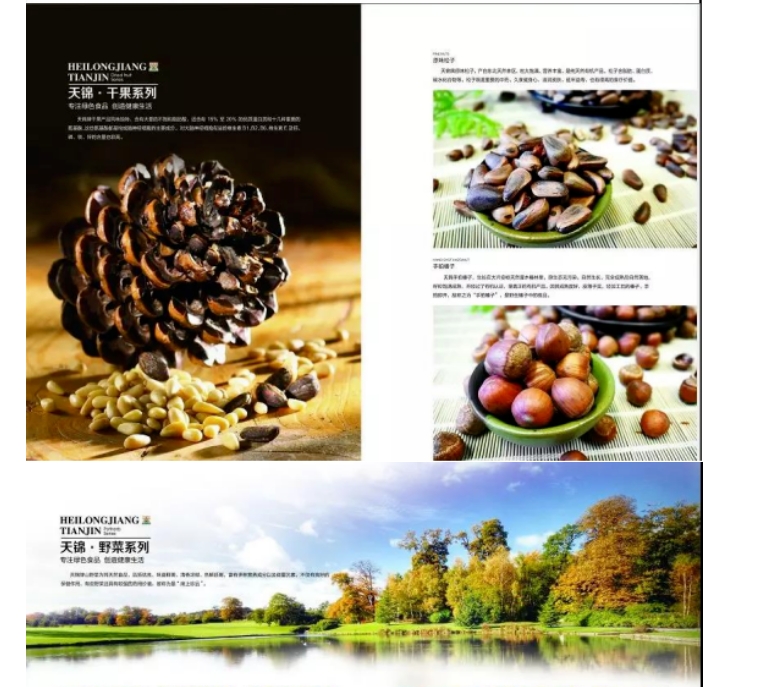 20240618092528158-微信截图_20240618092408