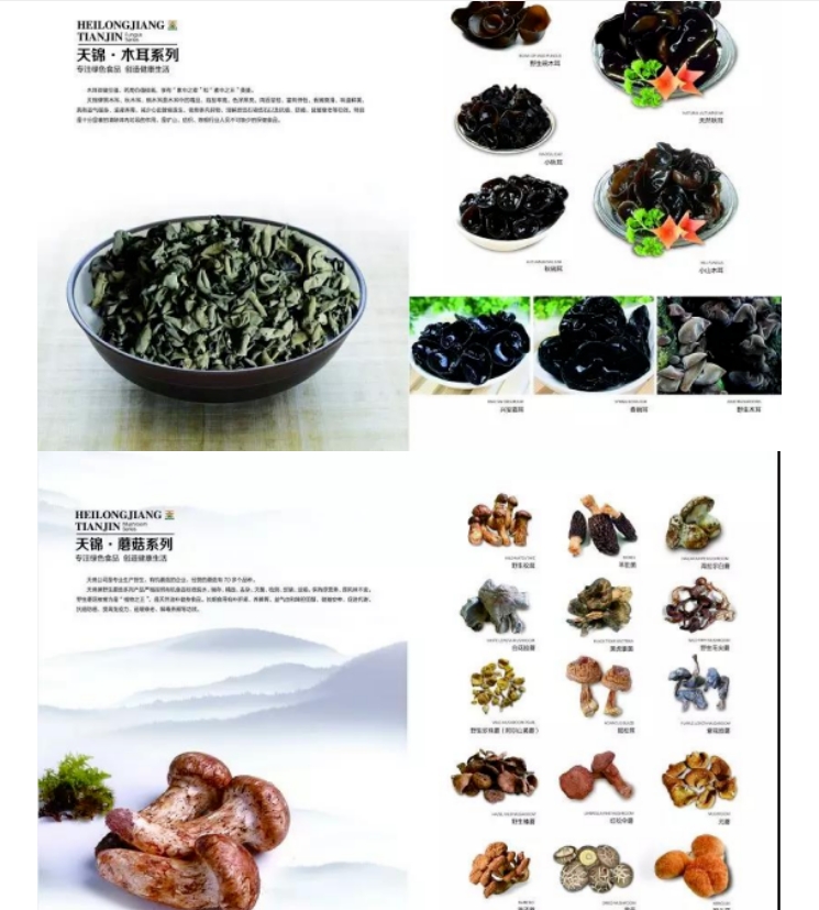 20240618092528373-微信截图_20240618092357