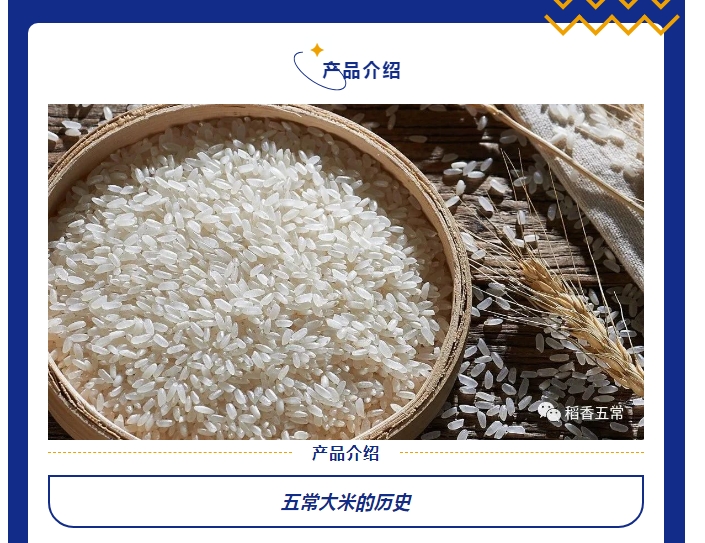 20240619093556827-微信截图_20240619093450