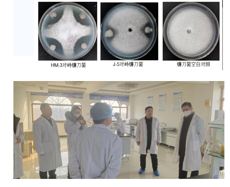 20240620093930117-微信截图_20240620093642