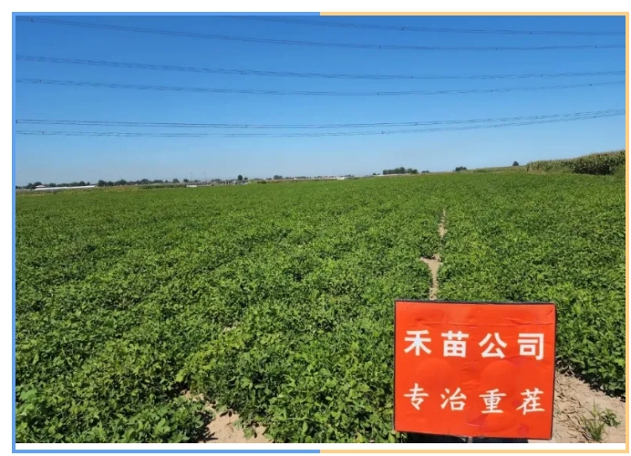 20240620093937888-微信截图_20240620093827