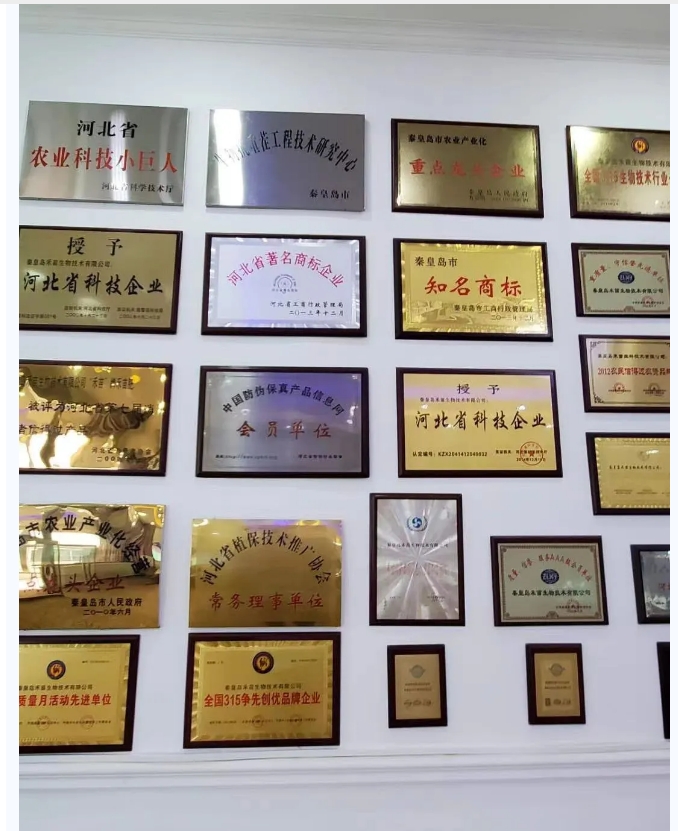 20240620093943773-微信截图_20240620093551