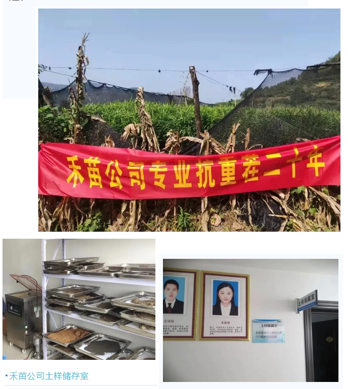 20240620093944974-微信截图_20240620093806