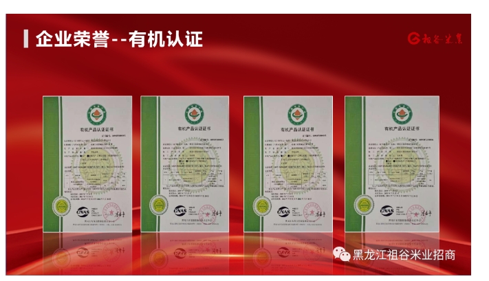 20240628093332620-微信截图_20240628093309