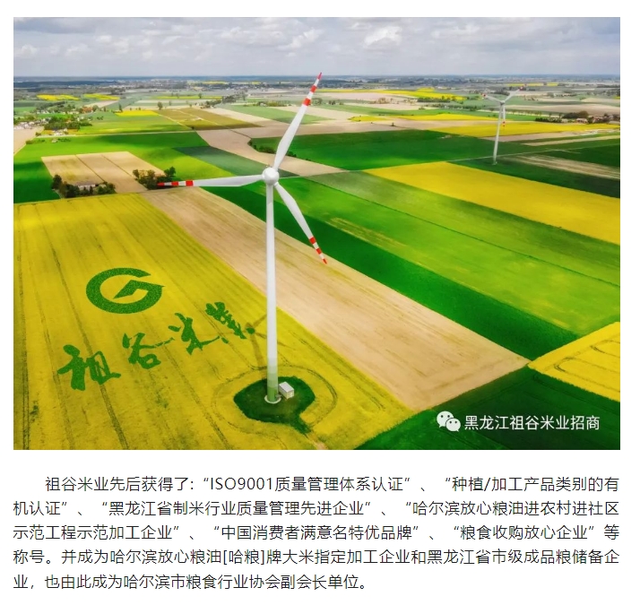 20240628093336709-微信截图_20240628093252