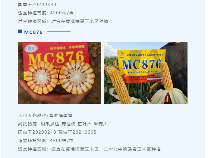 20240701102045496-微信截图_20240701101646