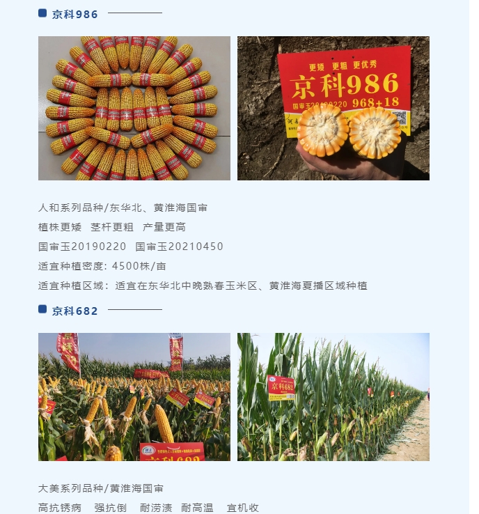 20240701102046313-微信截图_20240701101638