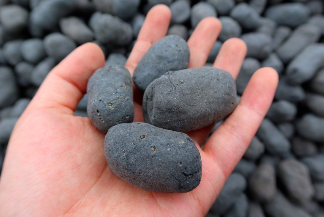 20240703100426594-微信截图_20240703100251