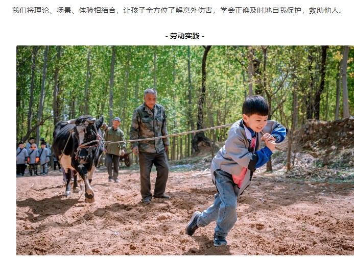 20240703135148524-微信截图_20240703134649