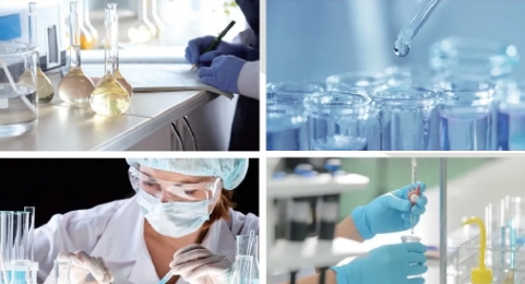 20240709095150708-微信截图_20240709095030