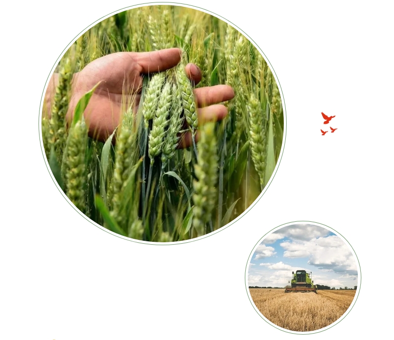 20240711133714841-微信截图_20240711133514