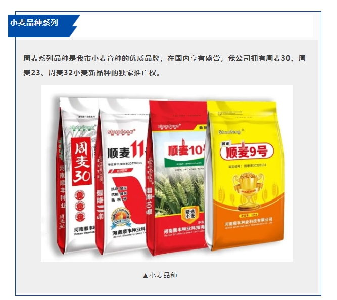 20240716091703307-微信截图_20240716091601