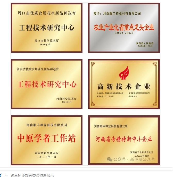 20240716091705317-微信截图_20240716091511