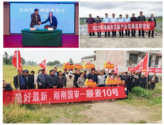 20240716091706180-微信截图_20240716091451