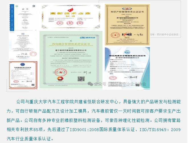 20240718091251709-微信截图_20240718091229