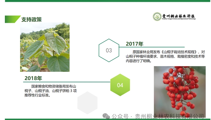 20240724090644774-微信截图_20240722133058