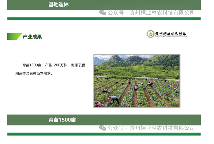 20240724090647956-微信截图_20240722133301