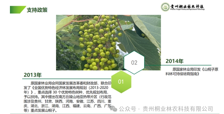 20240724090651197-微信截图_20240722133051